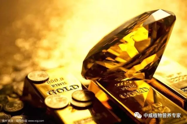 中威植物營養(yǎng)調(diào)節(jié)劑400-779-1088