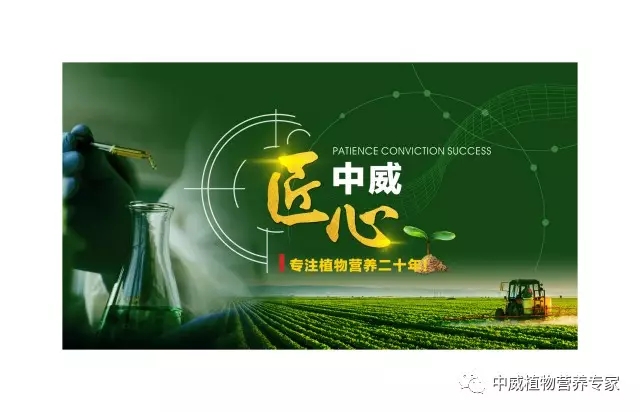 中威植物營養(yǎng)調(diào)節(jié)劑400-779-1088