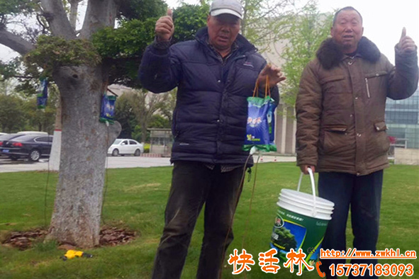 樹木輸液袋廠家哪個靠譜，栽樹為什么都愛掛樹木吊針液