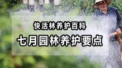 【園林養(yǎng)護百科】河南中威淺析七月份園林養(yǎng)護要點，這些事兒不能忽略