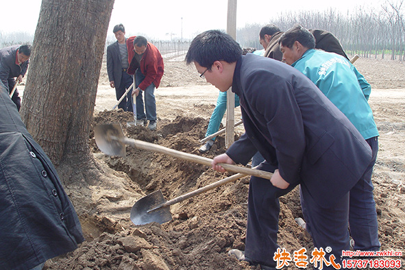 快活林現(xiàn)場養(yǎng)護指導(dǎo)