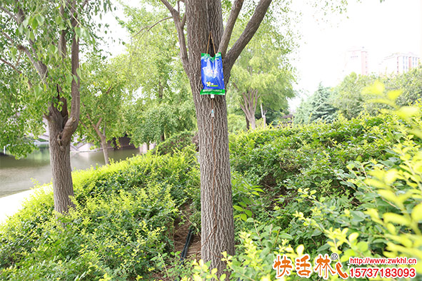 快活林吊針液應用