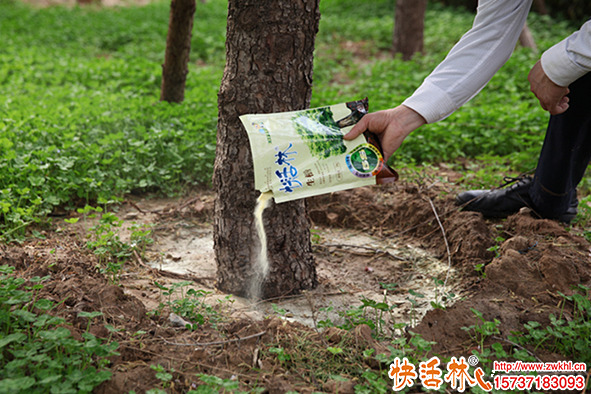 生根粉哪種效果好去哪里買？生根粉廠家哪個(gè)好？
