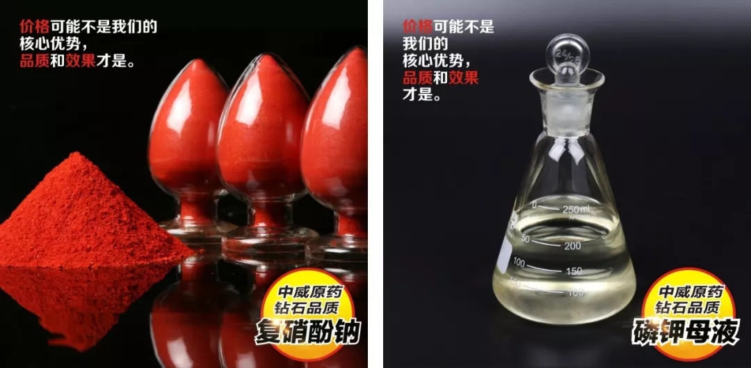 中威春雨果樹?；ū９麖?fù)硝酚鈉400-779-1088