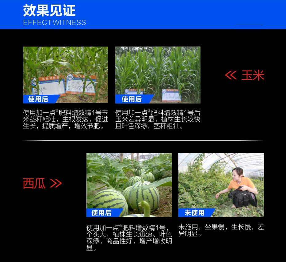 加一點肥料增效精黃色_05