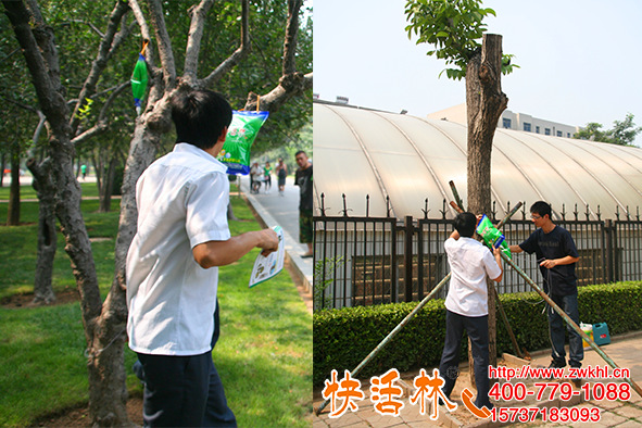 大樹養(yǎng)護(hù)掛快活林大樹營養(yǎng)液，改善長勢成活高