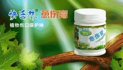 【園林養(yǎng)護百科】河南中威解析夏季如何移植樹木？及有哪些注意事項?
