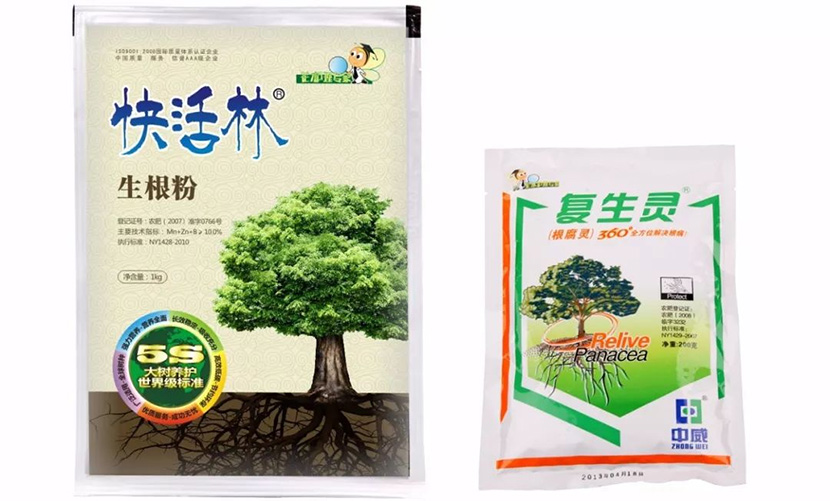 【園林養(yǎng)護百科】河南中威解析夏季如何移植樹木？及有哪些注意事項?