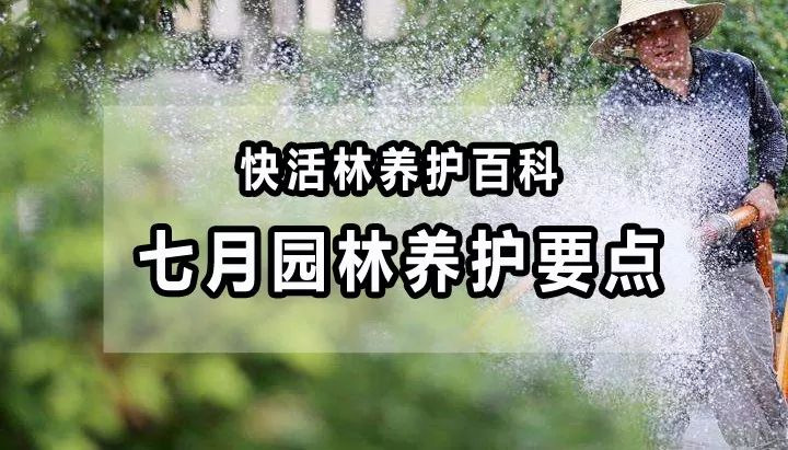 【園林養(yǎng)護(hù)百科】河南中威淺析七月份園林養(yǎng)護(hù)要點(diǎn)，這些事兒不能忽略