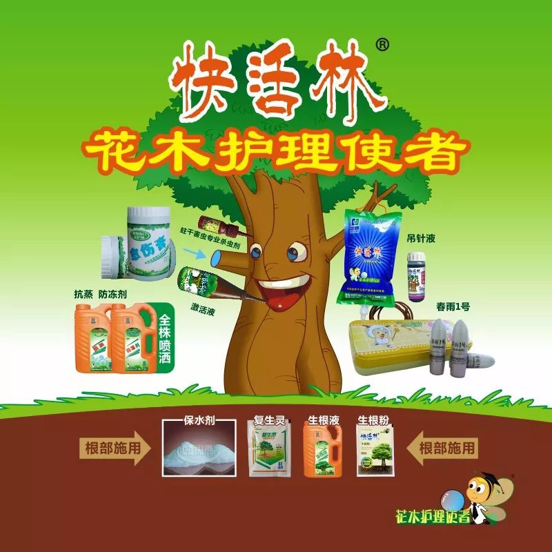 【園林養(yǎng)護(hù)百科】河南中威淺析七月份園林養(yǎng)護(hù)要點(diǎn)，這些事兒不能忽略