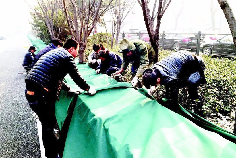 【園林養(yǎng)護(hù)百科】河南中威淺析新移栽苗木過冬有哪些需要提前準(zhǔn)備?