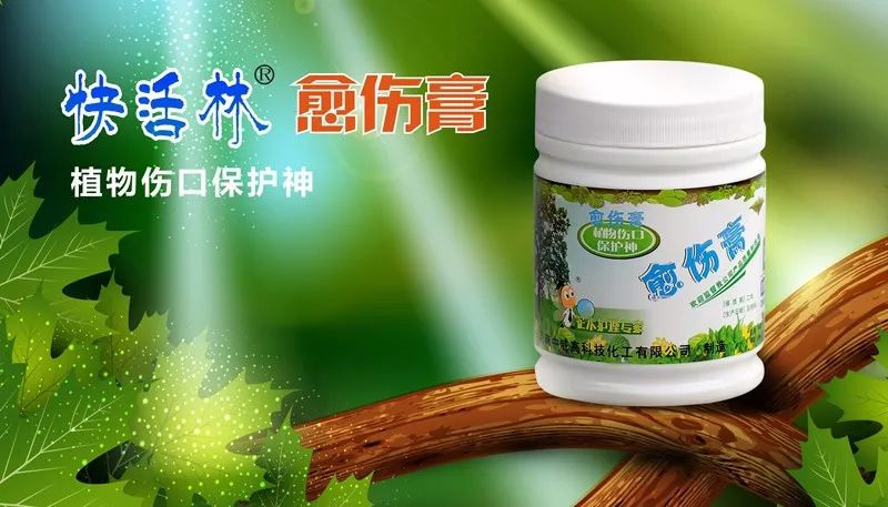 【園林養(yǎng)護百科】河南中威淺析暴雨過后發(fā)生水澇，受災(zāi)的樹木還有救!