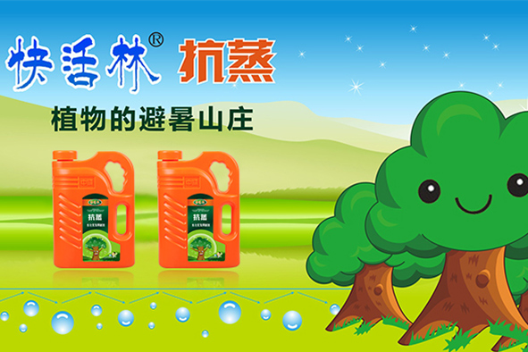 夏季天氣熱苗木萎蔫嚴(yán)重？試試快活林抑制蒸騰劑保水保鮮