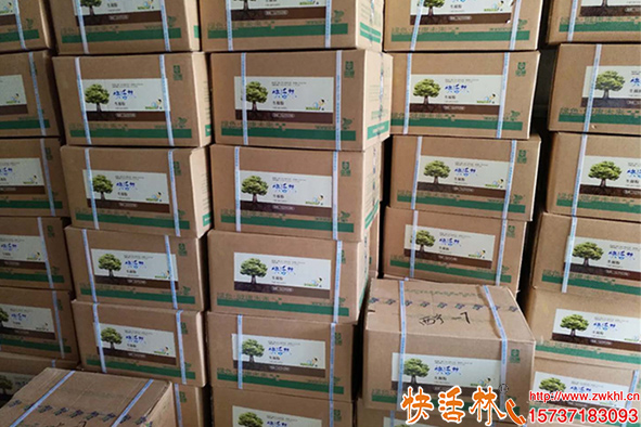 快活林生根粉生產(chǎn)廠家，綠化栽種成活高才更值得信任