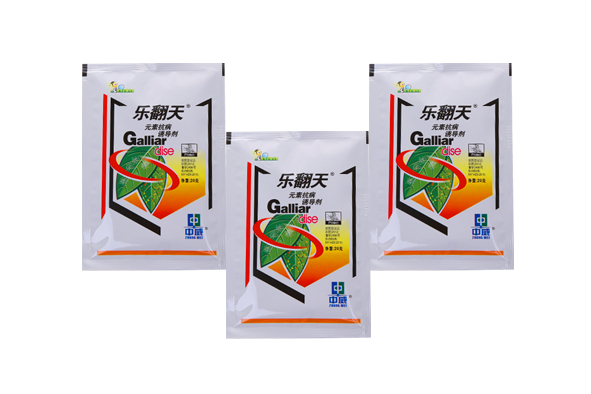快活林樂翻天