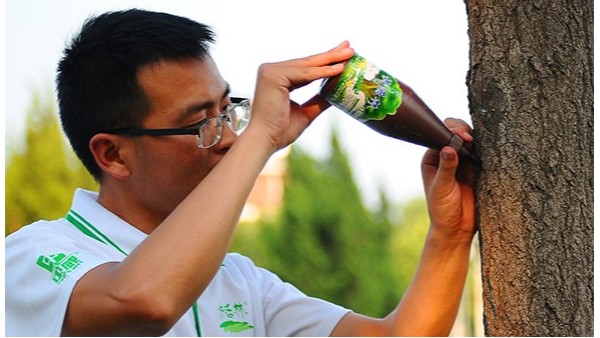 種樹好久了但樹不發(fā)芽怎么辦？到底樹活了沒有？