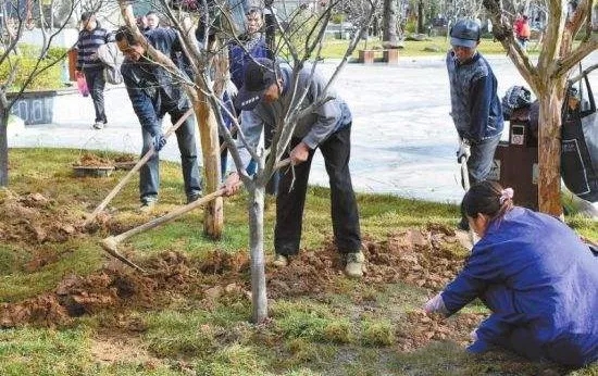 快活林,快活林園林養(yǎng)護(hù),喬木管理,快活林涂白劑,快活林愈傷膏