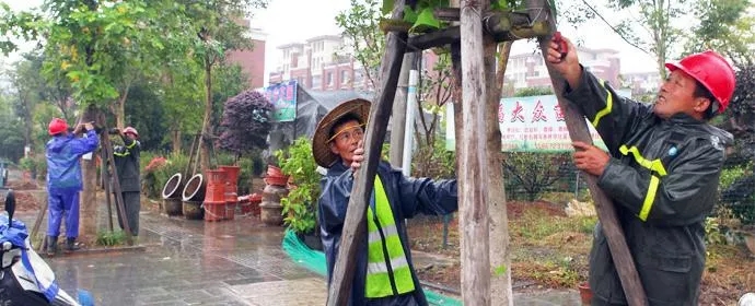 快活林,快活林園林養(yǎng)護(hù),喬木管理,快活林涂白劑,快活林愈傷膏