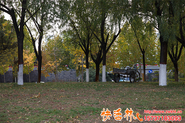 樹干涂白的作用有哪些，為什么公園涂白都選快活林樹木涂白劑