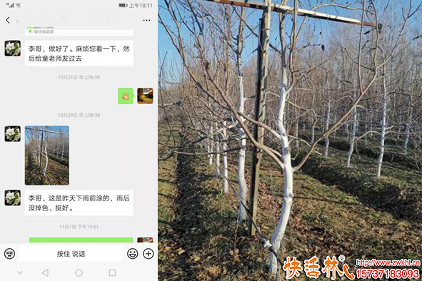 快活林涂白劑使用