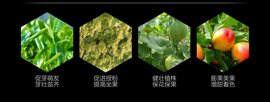 有機(jī)精_06