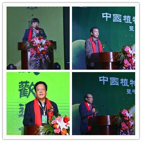 中威,中威春雨,中威二十周年慶典，匠心中威