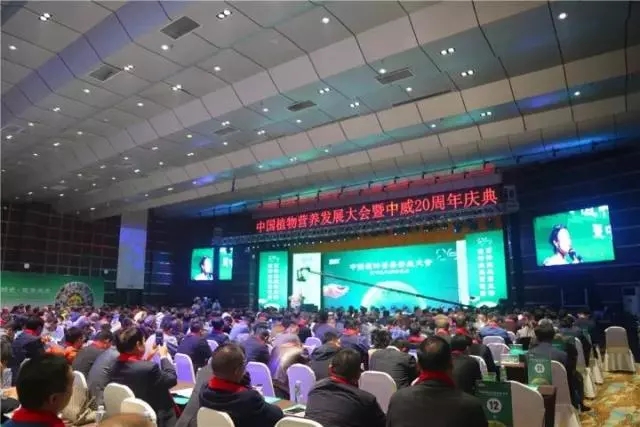 中威,中威春雨,中威二十周年慶典，匠心中威