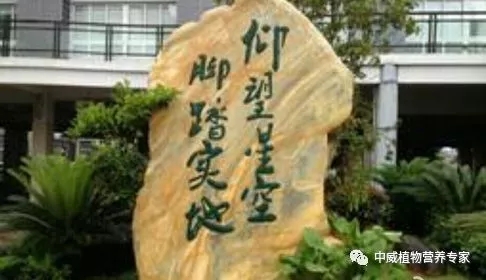 中威春雨一號(hào)植物營(yíng)養(yǎng)調(diào)節(jié)劑400-779-1088