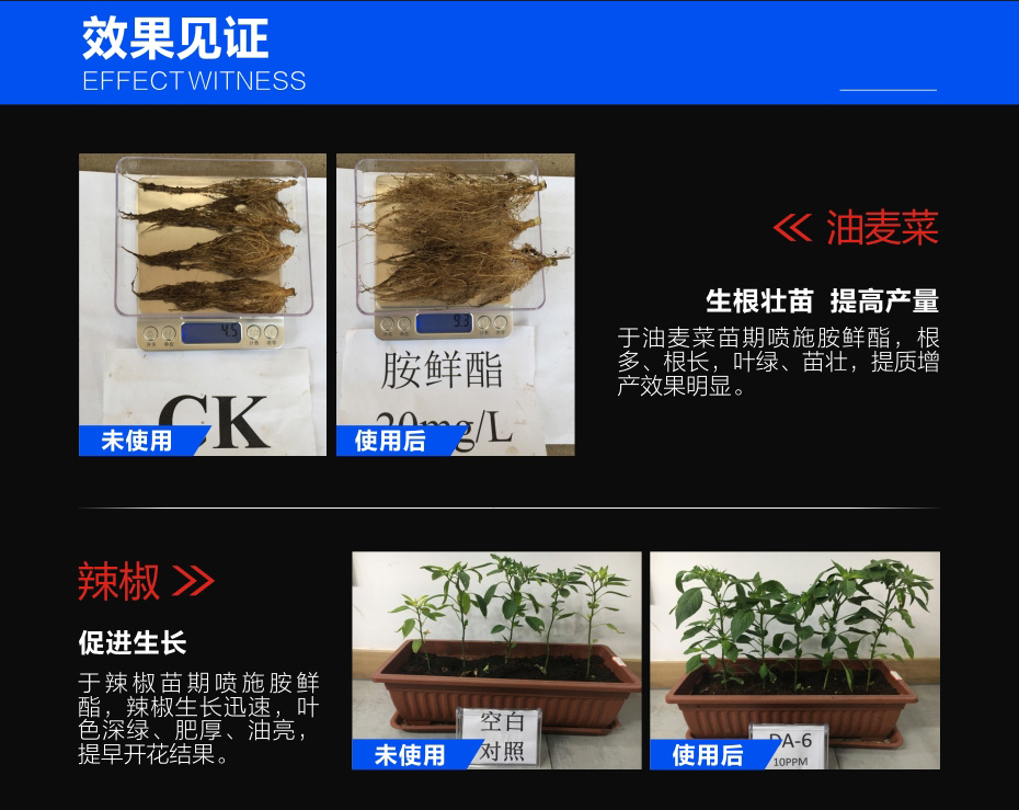 DA-6胺鮮酯價(jià)格