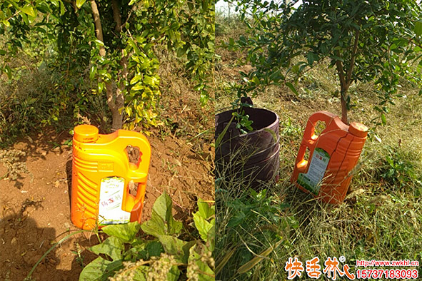 快活林防凍劑石榴防凍