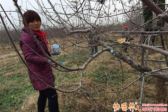 快活林愈傷膏使用