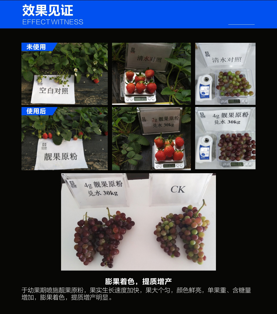 靚果原粉_05