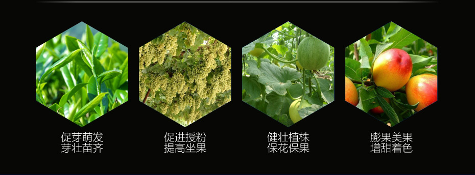 靚果原粉_06