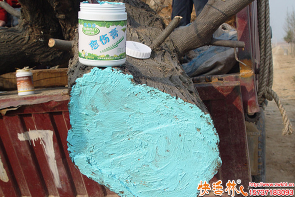 快活林愈傷膏樹干保護(hù)