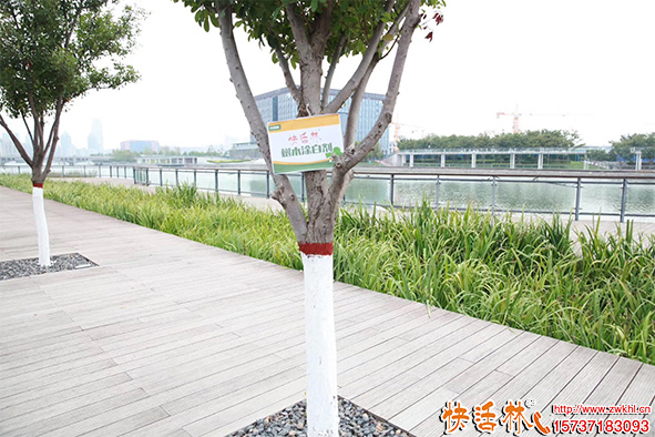 快活林涂白劑養(yǎng)護(hù)