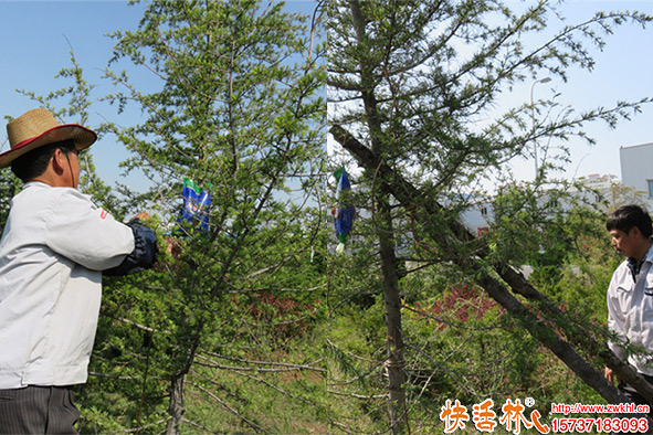 快活林吊針液恢復(fù)養(yǎng)護(hù)