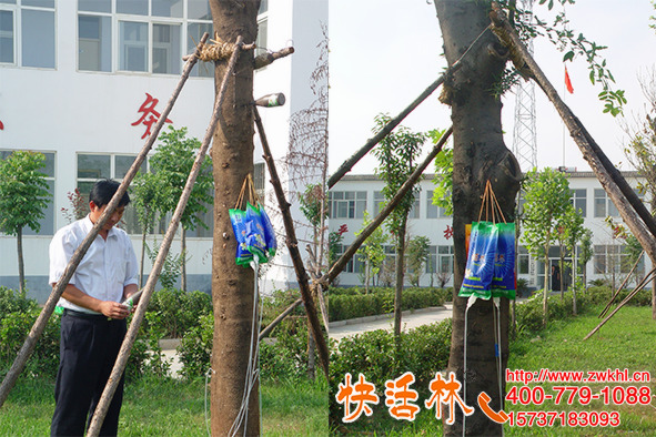 樹的營養(yǎng)液作用有多大？快活林大樹營養(yǎng)液森林公安都在用