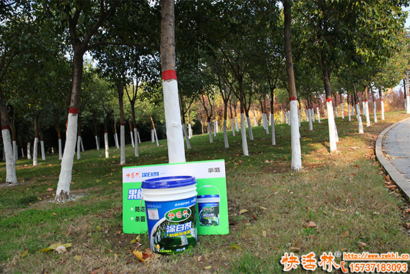 春夏交接蟲害嚴重樹木怎么養(yǎng)護？樹木涂白劑防蟲效果怎么樣？