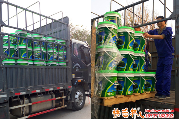 綠化養(yǎng)護用什么吊針液？樹木營養(yǎng)液批發(fā)找快活林