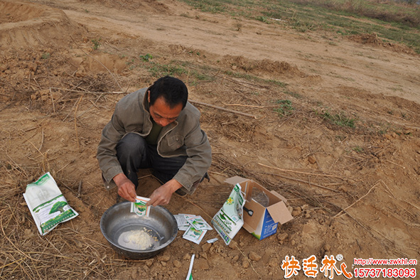快活林移栽生根粉相關(guān)藥品