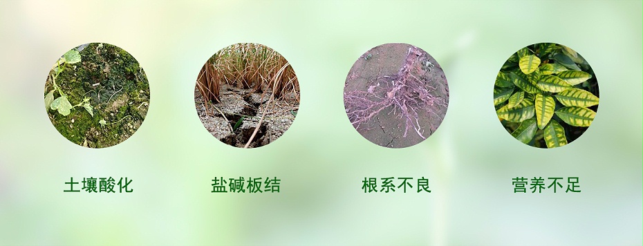 土壤易出現(xiàn)問(wèn)題