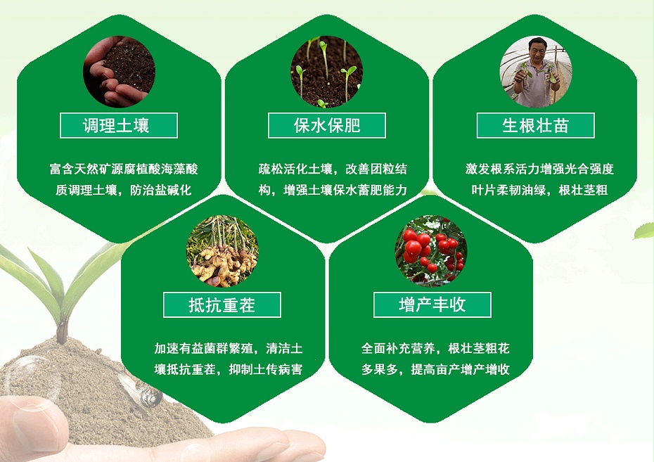 不老秀松土營(yíng)養(yǎng)水溶肥解決問(wèn)題