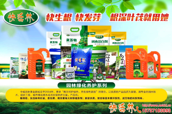 冬天能不能栽樹？冬天栽樹技巧？有什么注意事項(xiàng)
