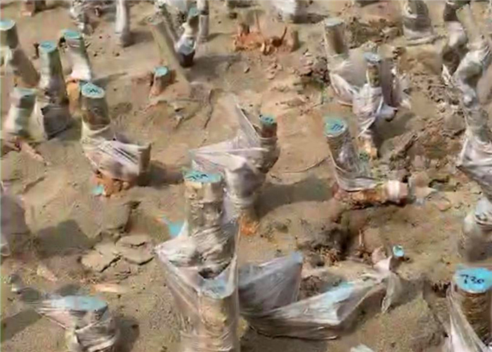 什么品牌的生根劑好，朋友都在用信任滿滿