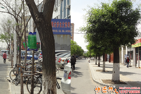 快活林吊針液使用恢復(fù)