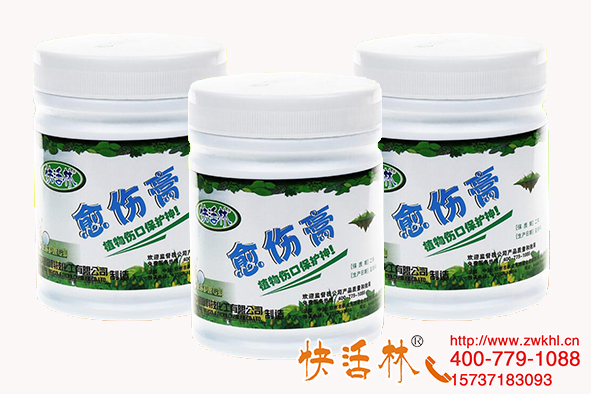 快活林果樹(shù)愈合劑多少錢(qián)一件，果園修剪傷口處理效果怎么樣