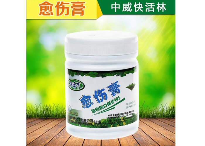用了快活林大樹傷口涂補(bǔ)劑，重慶馮經(jīng)理修剪一個(gè)沒開裂