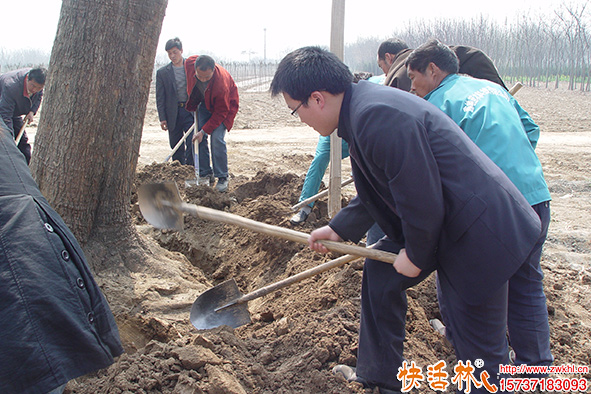 快活林栽樹(shù)