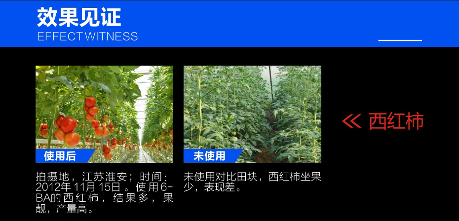 6-ba_03