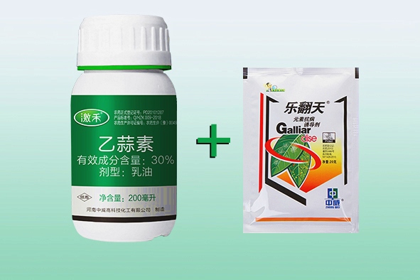 乙蒜素樂翻天組合